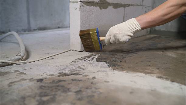 SJ Waterproofing Pros Waterproofing coverage map for Signal Mountain, TN and surrounding area